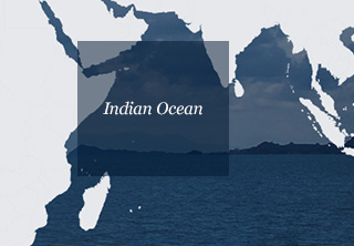 Indian Ocean Mobile